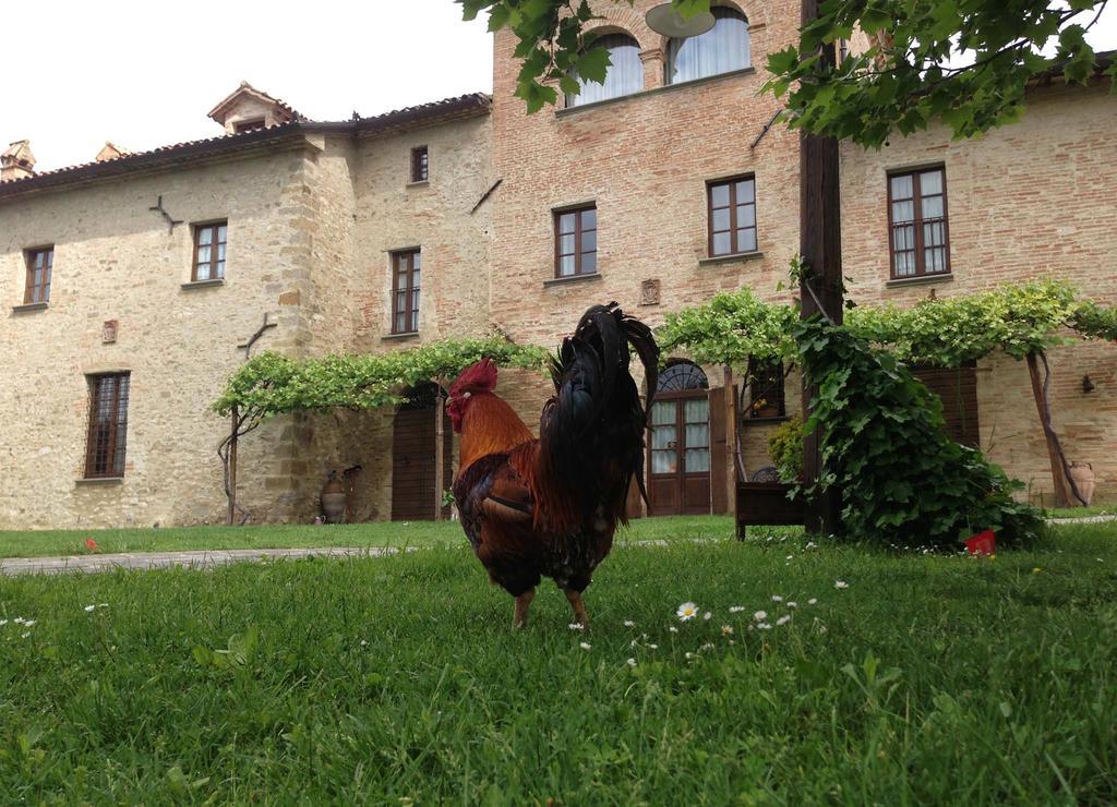 Residenza D'Epoca Il Biribino Hotell Città di Castello Exteriör bild